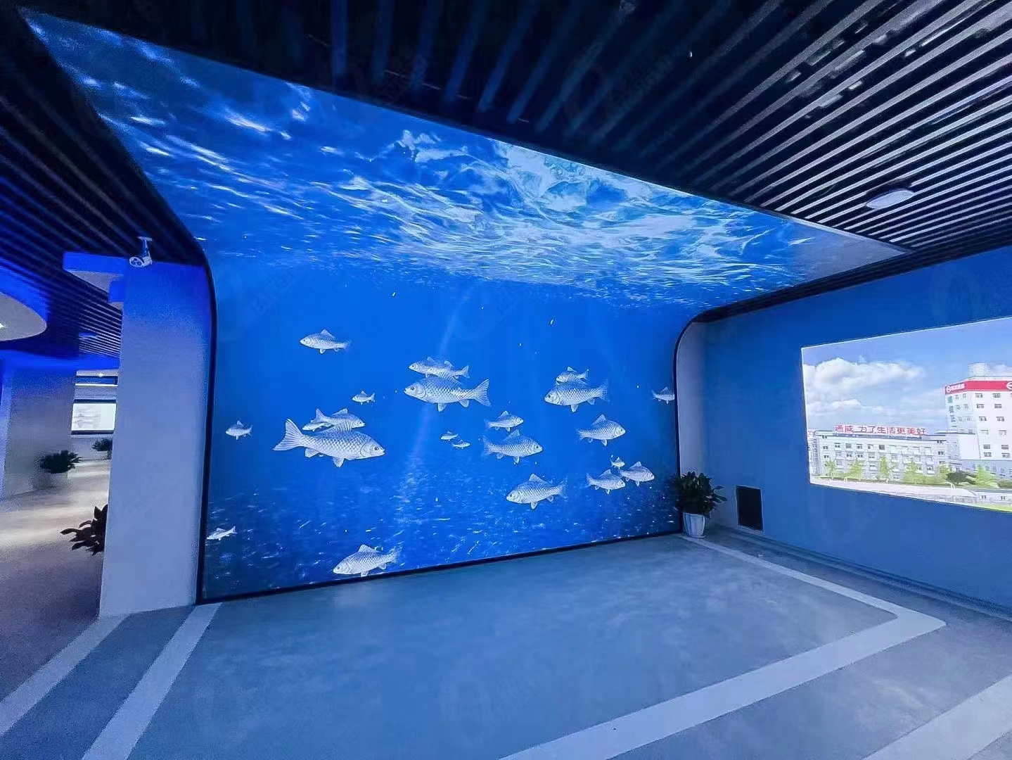 ZHANXIN Flexible Soft Display 1