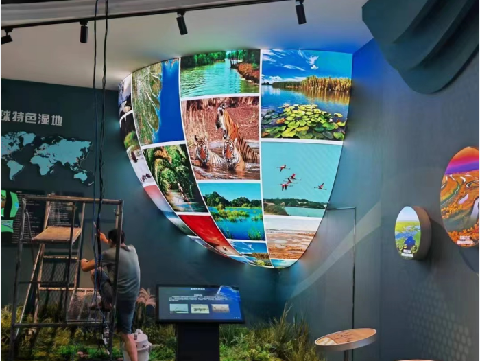 ZHANXIN Project in Exhibition Hall , Round shape and Half Ball Display